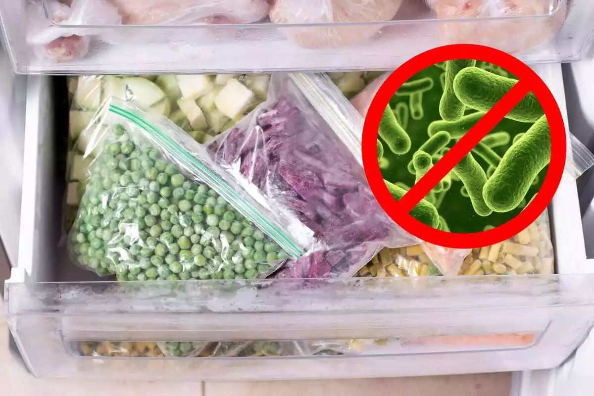 congelador abierto con alimentos congelados y una imagen destacada de bacterias con la señal de prohibido