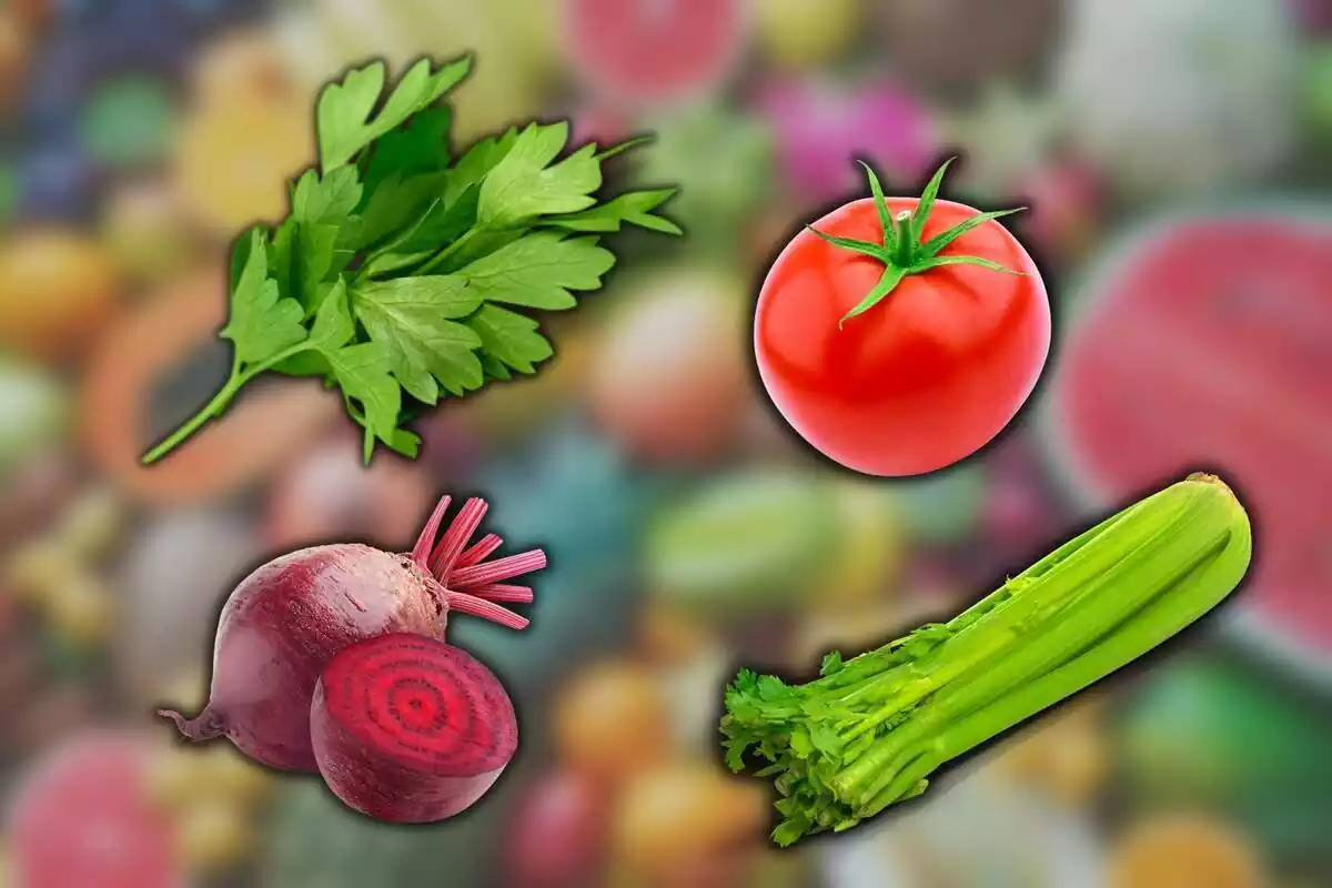 Remolacha, tomate, apio y perejil con el fondo difuminado de un conjunto de frutas y verduras