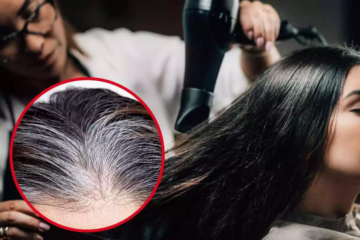 Montaje con una peluquera secando el pelo a una clienta y un círculo con un pelo con canas